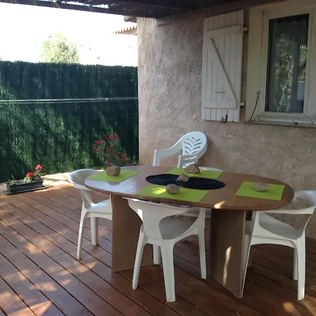 Le Pin Parasol